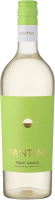 Pinot Grigio Terre d'Abruzzo IGT - Fantini