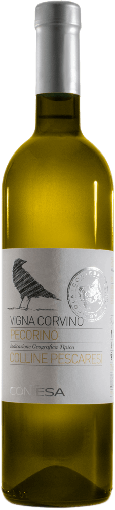 Vorschau: Olaszország rejtett bajnoka Pecorino - 6x kóstolócsomag
