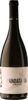 Pandataria Il Vino del Confino - Candidaterra