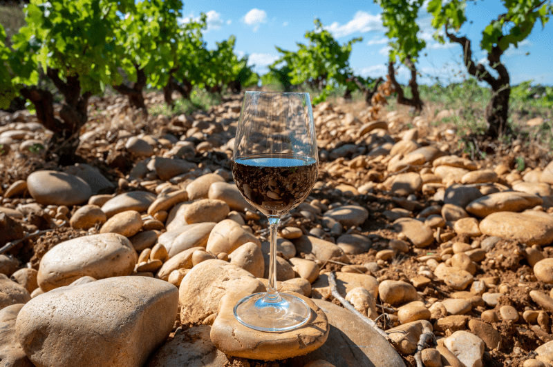 Számpados szikla talajjal Bordeaux Weinberge mit Sandsteinböden in Chateauneuf-du-Pape
