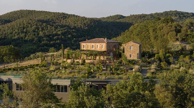 Tenuta Luce borászat Tenuta Luce borászat