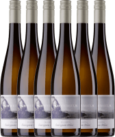 6er Vorteils-Weinpaket - Sauvignon Blanc Zellertal trocken - Schwedhelm Zellertal
