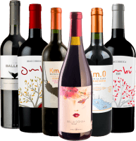 6er Rebsortenpaket - Best of Tannat Uruguay