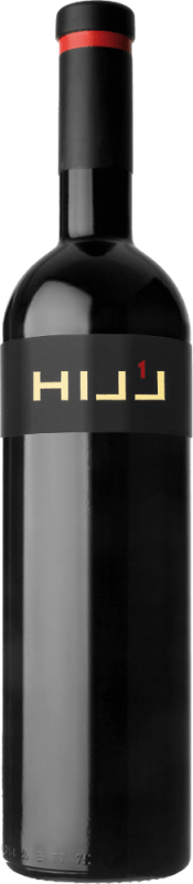 Hill 1 - Leo Hillinger