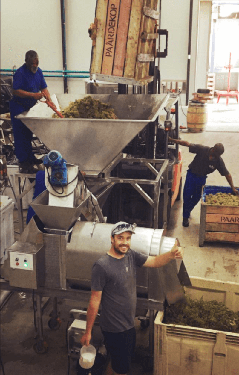 Arbeit im Keller von Riebeek Valley Wine Arbeit im Keller von Riebeek Valley Wine