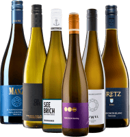 Vorschau: A legjobb Rheinhessen a VINELLO-tól – 6 darab mintacsomag