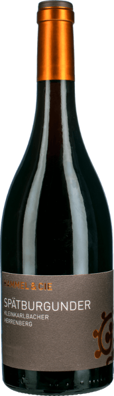 Kleinkarlbacher Herrenberg Spätburgunder - Weingut Hammel