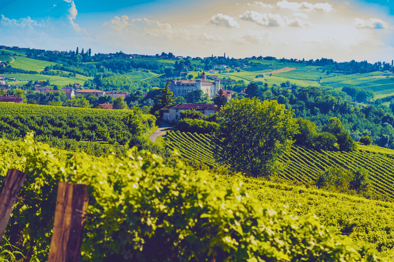 Costigliole, Barbera borvidék Costigliole-Barbera borvidék