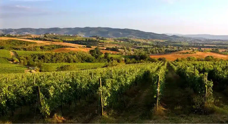 Élvezetutazás Umbrián át a Lungarottival – 6x kóstoló csomag