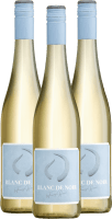 Stier Blanc de Noir - Weingut Hörner - 3x Vorteilspaket