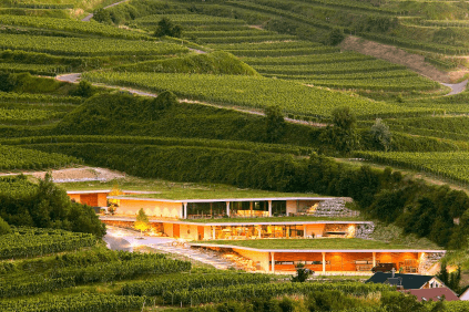 Das Weingut Franz Keller