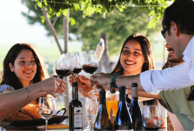 Borbontás a Bodegas Castañónál