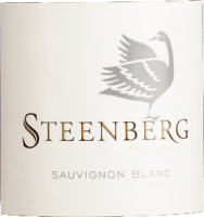 Vorschau: Sauvignon Blanc - Steenberg