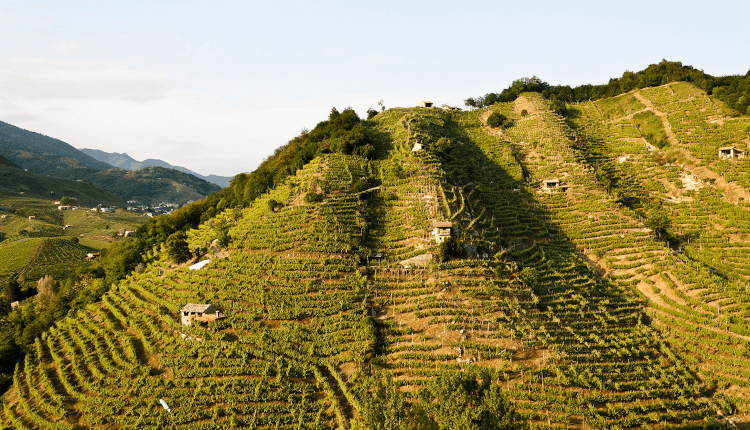 Bisols steile Hügel von Valdobbiadene Bisols steile Hügel von Valdobbiadene