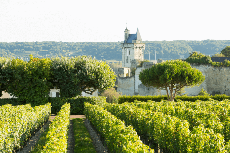 Kastély a franciaországi Loire mentén