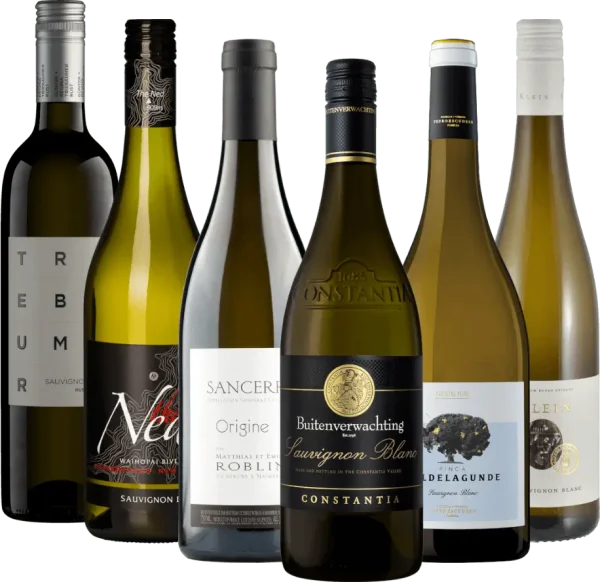 Legnépszerűbb Sauvignon Blanc boraink