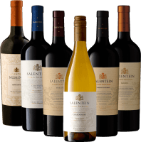 Mendoza lelke a Bodegas Salentein-nal - 6x kóstolócsomag
