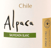 Vorschau: Alpaca Sauvignon Blanc Valle Central DO - Viña San Pedro Tarapacá