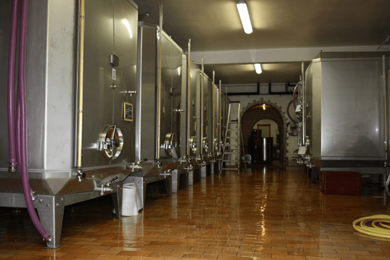 Im Keller des Weinguts Im Keller des Weinguts