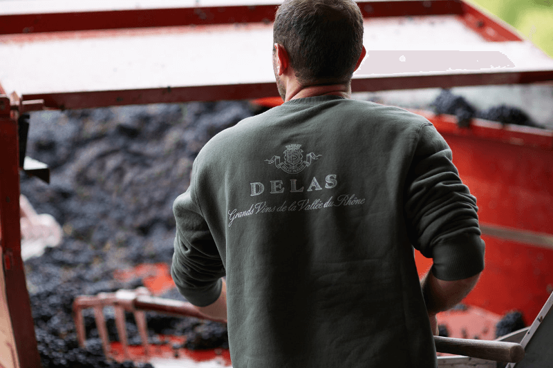 Maison Delas Winzer in action