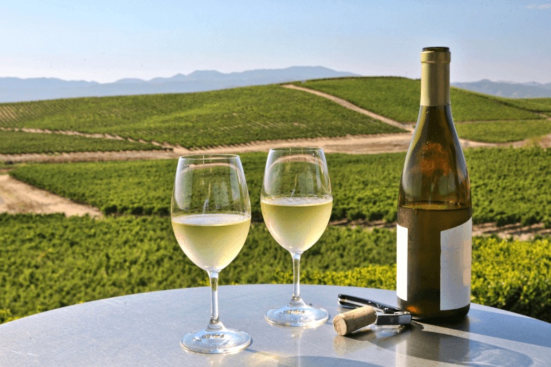 Chardonnay élvezet