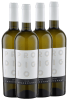 4x Vorteils-Weinpaket Prodigio del Sole Chardonnay - Latentia