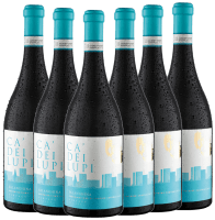 6x Vorteils-Weinpaket Falanghina del Sannio DOC - Ca' Dei Lupi