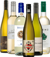 VINELLO legjobb fehérborai - 6x top seller csomag