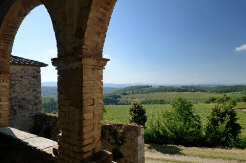 Der Blick auf die Lage Rancia vom Weingut Felsina