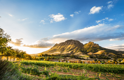 Panorama von Stellenbosch Panorama von Stellenbosch
