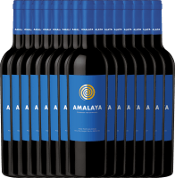 15er Vorteils-Weinpaket - Amalaya Tinto - Bodega Colomé