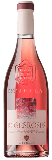 Vorschau: Rosé találkozik Primitivóval: Olaszországi bestseller válogatásunk – 6 palackos kóstolócsomag