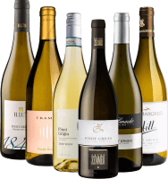 Pezsgő Pinot Grigio fehérborok Olaszországból - 6x kóstolócsomag