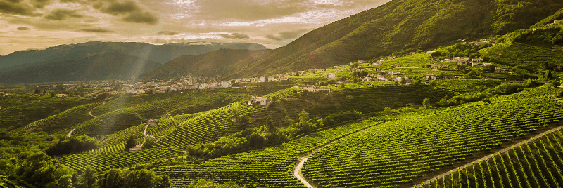Kilátás a Valdobbiadene dombjaira