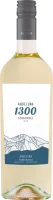 Torrontés Andeluna 1300 Tupungato Mendoza - Andeluna Cellars