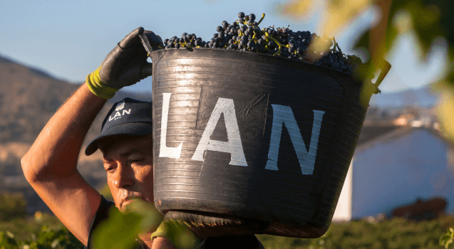 LAN Ernte LAN Ernte