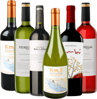 6er Kennenlernpaket - Weine aus Uruguay