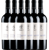 6er Vorteils-Weinpaket - I Tratturi Negroamaro - Cantine San Marzano