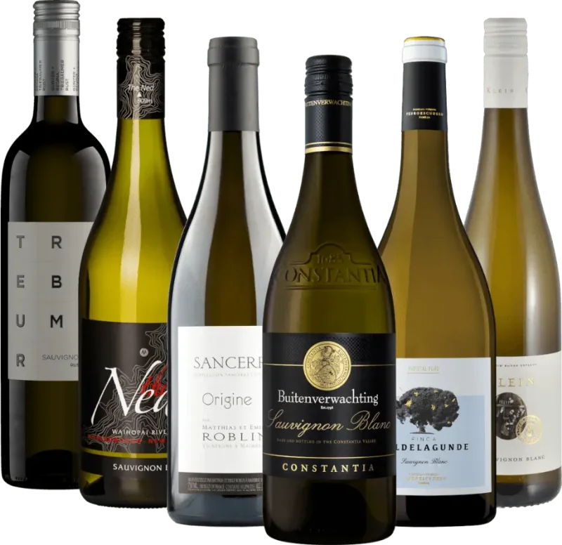 6x szőlőfajtacsomag – Nemzetközi Sauvignon Blanc bestsellerek