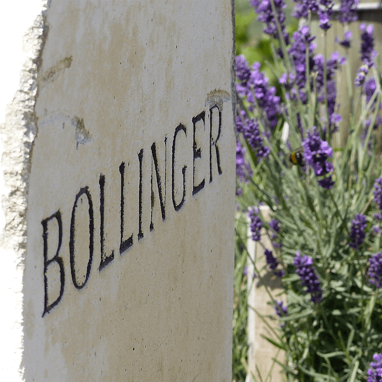 Prickelndes Vergnügen mit Champagner von Bollinger Prickelndes Vergnügen mit Champagner von Bollinger
